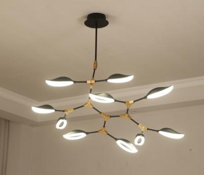 BVH Pendant Lamp 8539S-10C