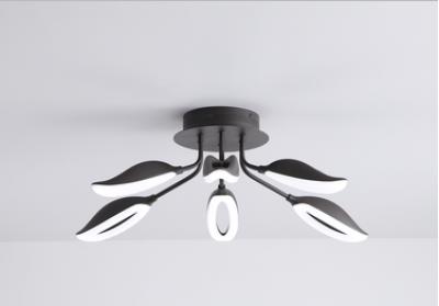 BVH Ceiling light 8540C-6D